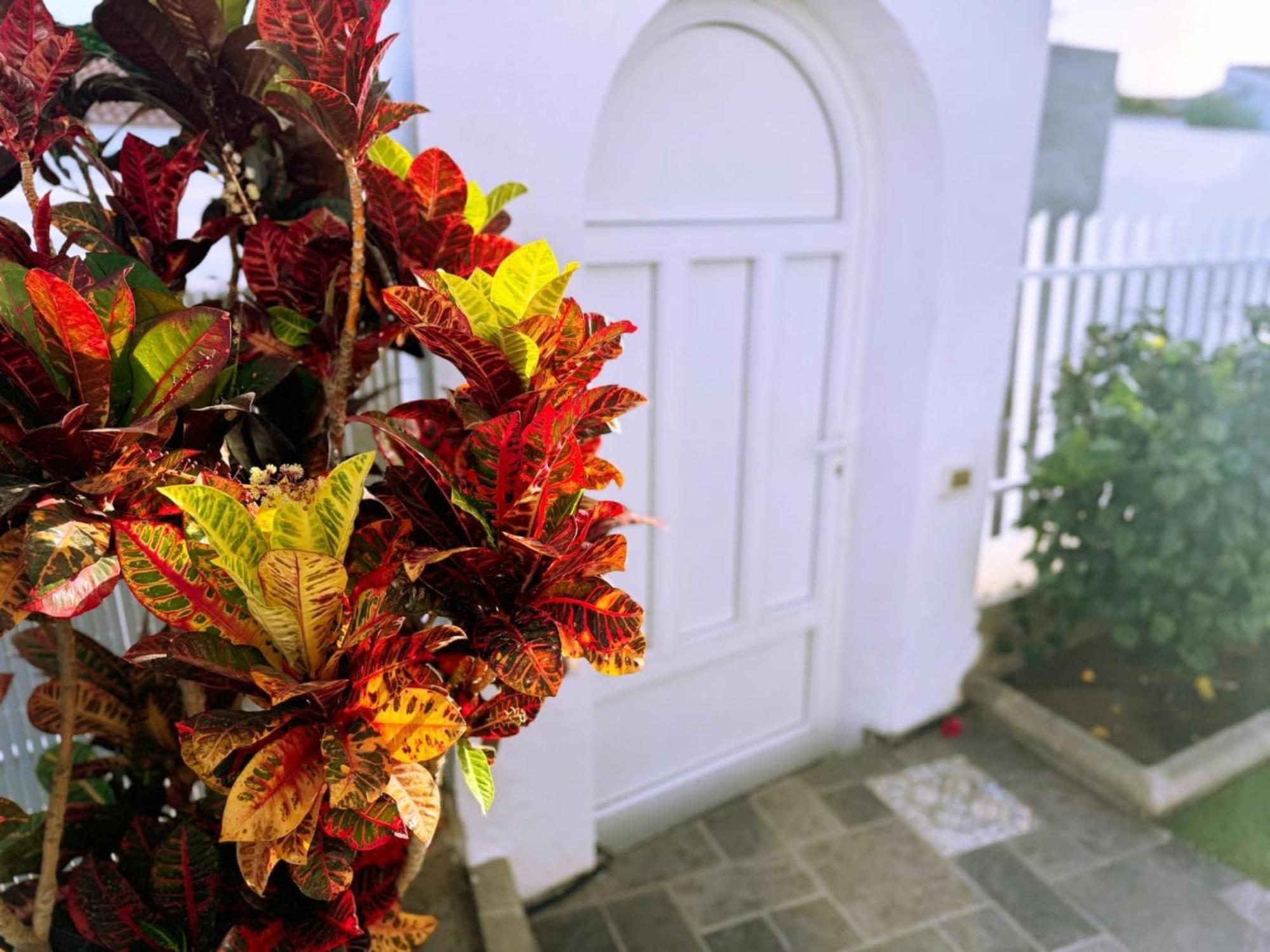 Hibiscus Holiday home