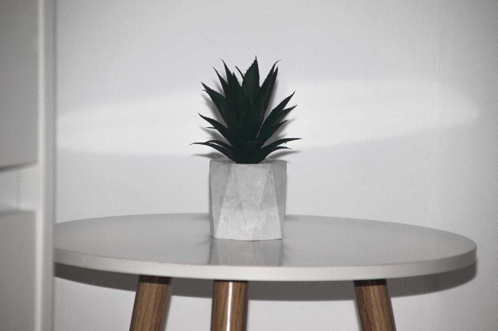 Apartamento Alma Telde